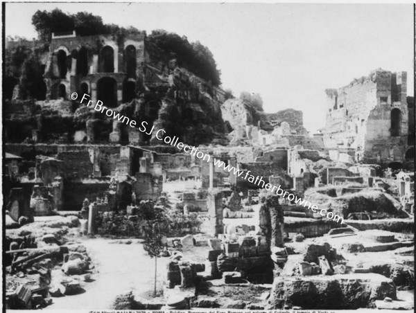 RUINS OF THE FORUM